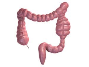 Le nettoyage du colon