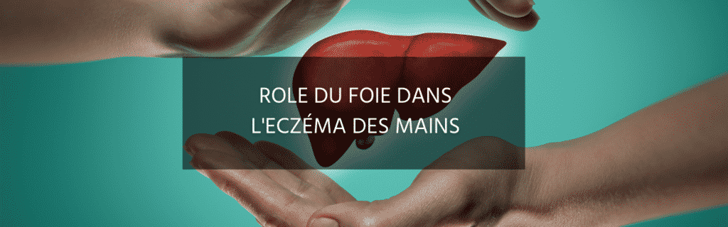 L’eczéma aux mains et le rôle du foie