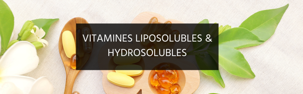 Les différents types de vitamines : lipo & hydrosolubles