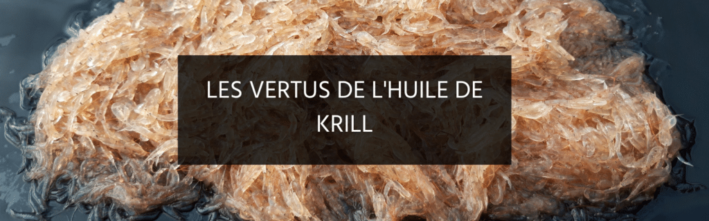 Pourquoi l’huile de Krill est une des meilleures sources d’oméga-3