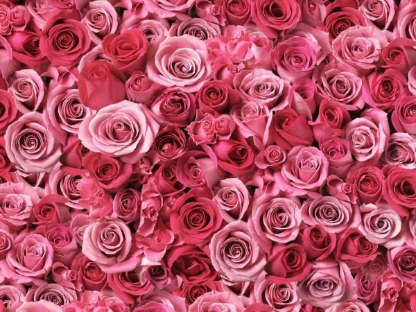 eau florale rose eczema