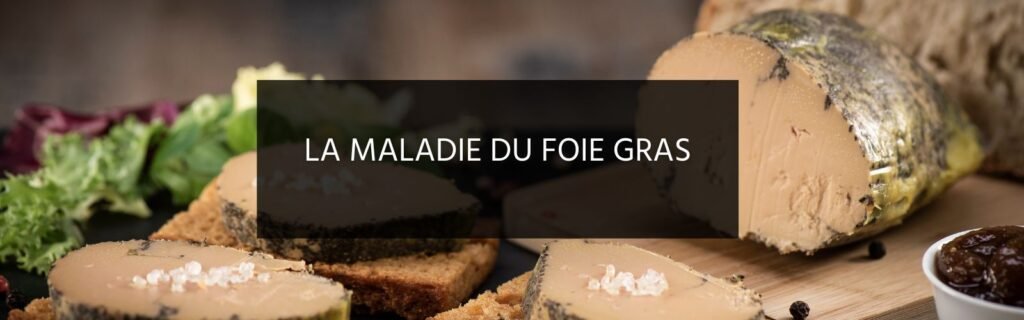 Avez-vous le foie gras ? Causes et conséquences avec l’eczéma et comment faire