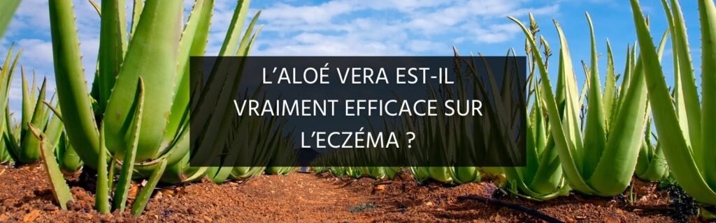 L’aloe vera pour apaiser l’eczéma : solution naturelle ou mythe ?