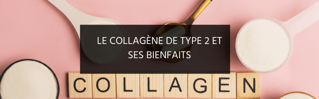 Collagène type 2 : tout savoir sur ses bienfaits pour les articulations